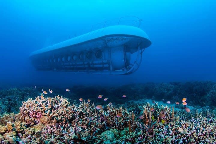 Dive Kona's Hidden Reef: Atlantis Submarine Adventure from Kona Beach photo 3
