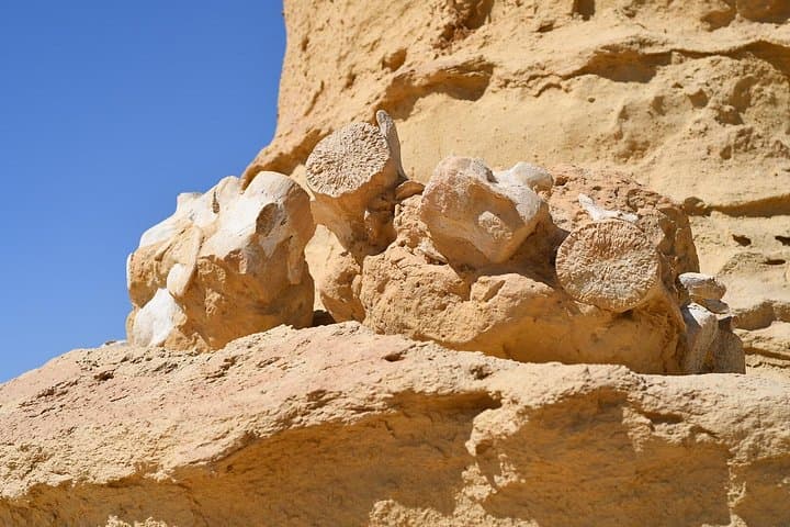 Overnight Faiyum Oasis & Wadi El‑Hitan: Desert Whales, Waterfalls and Camping photo 3