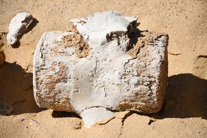 Overnight Faiyum Oasis & Wadi El‑Hitan: Desert Whales, Waterfalls and Camping photo 4