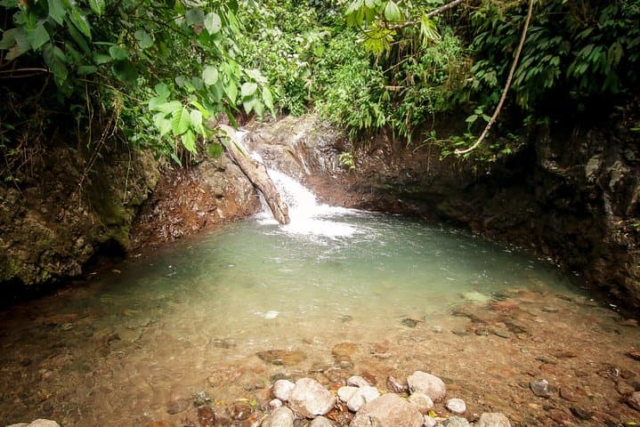Rainmaker Canopy Walk and Waterfall Hike Near Manuel Antonio photo 3