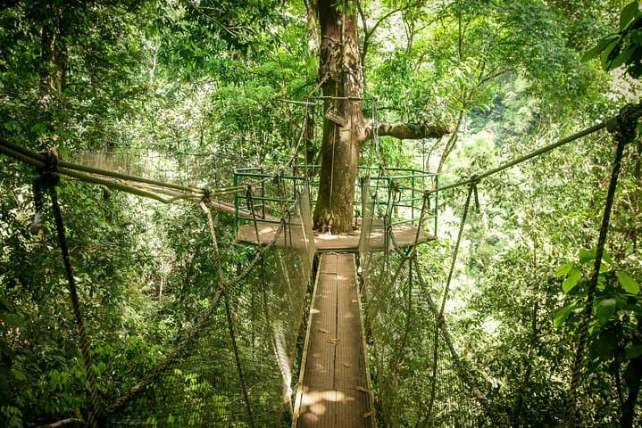 Rainmaker Canopy Walk and Waterfall Hike Near Manuel Antonio photo 4