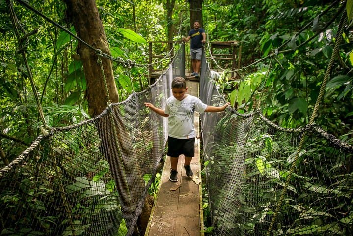 Rainmaker Canopy Walk and Waterfall Hike Near Manuel Antonio photo 5