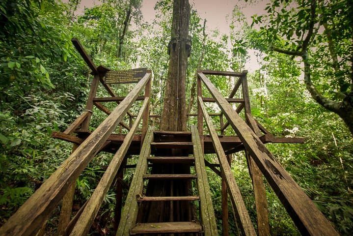 Rainmaker Canopy Walk and Waterfall Hike Near Manuel Antonio photo 6