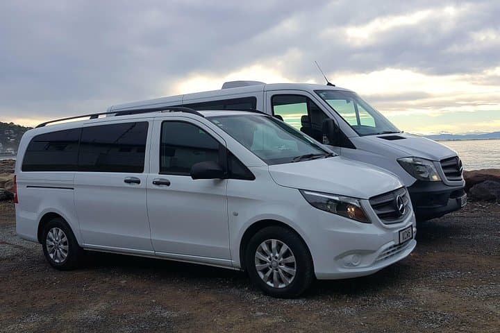 Scenic Christchurch to Franz Josef and Fox Glacier One-Way Transfer photo 2