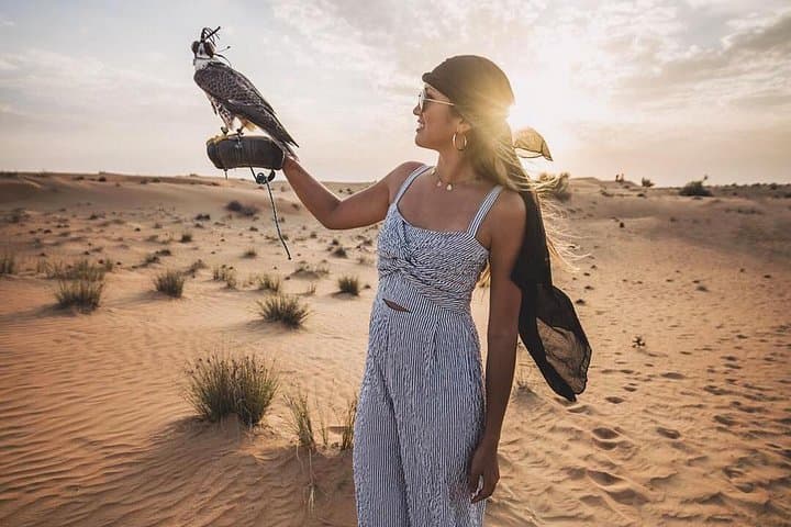 Dubai VIP Desert Safari: Quad Bikes, Dune Bashing & Majlis Dinner at Lehbab photo 5