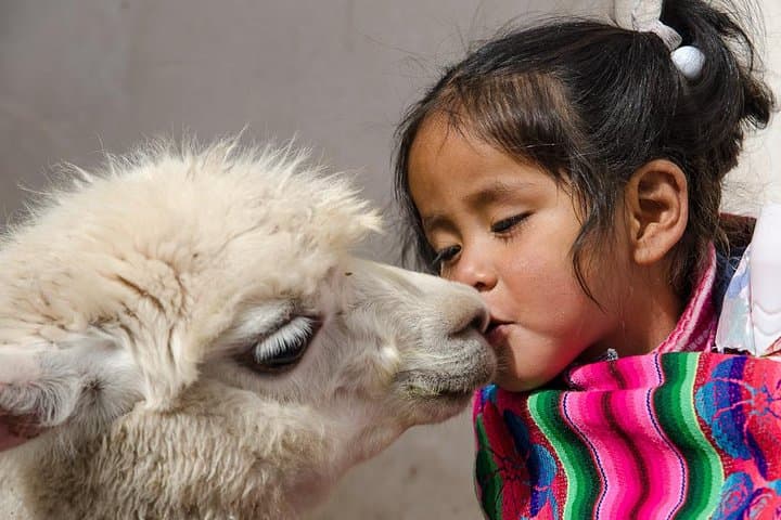 Sacred Valley Full-Day Tour: Pisac, Moray & Maras Salt Pans