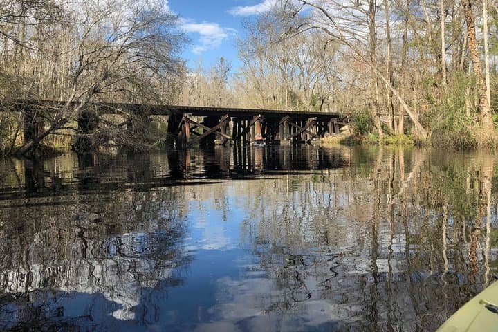 Paddle Lofton Creek: Guided Kayak Eco Tour on Amelia Island photo 6