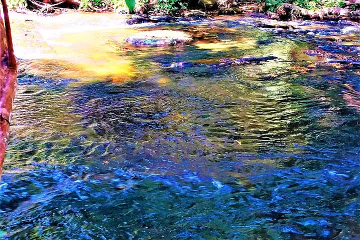 Phnom Kulen Deep Jungle Explorations Private Tour from Siem Reap photo 4