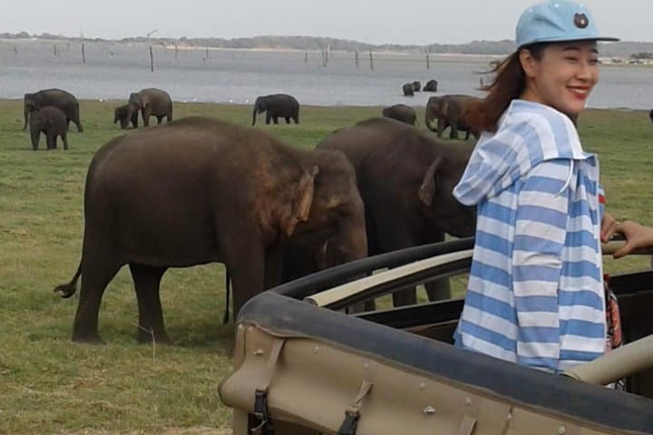 Minneriya National Park Private Safari: Elephant Encounters Near Habarana photo 1