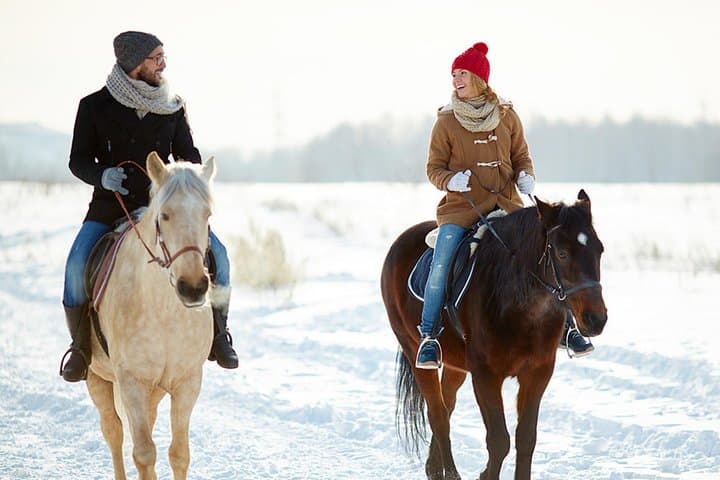 Saddle the Shore: Horseback Riding Around Lake Bled photo 3