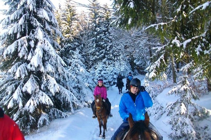 Saddle the Shore: Horseback Riding Around Lake Bled photo 2