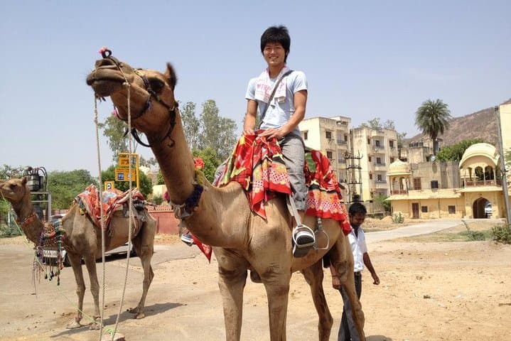 Golden Triangle India: 4-Day Delhi-Agra-Jaipur Cultural Circuit photo 5