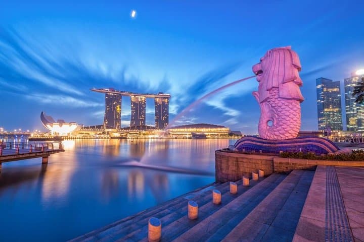 Gardens by the Bay & Marina Bay Sands Skypark: Cloud Forest, Flower Dome & Supertrees photo 3