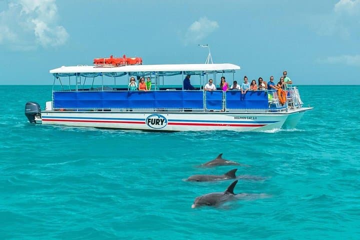 Key West Dolphin Watch and Snorkel Tour — Dolphin SMART Eco Adventure