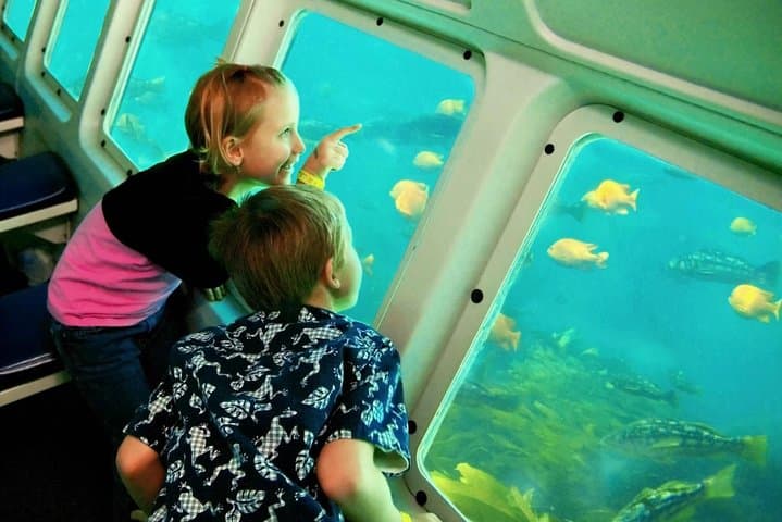 Hurghada Semi-Submarine: 4-Hour Red Sea Reef Viewing Experience photo 3