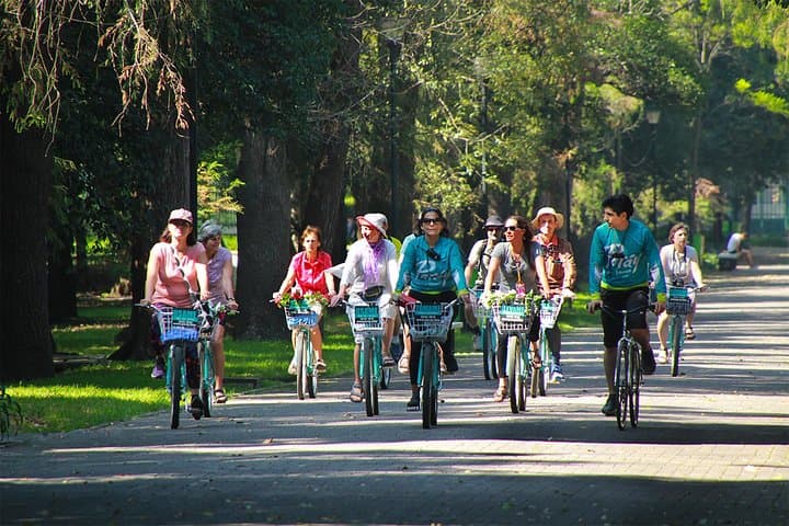 Mexico City Bike Tour: Chapultepec, Reforma & Historic Center by Bicycle photo 4