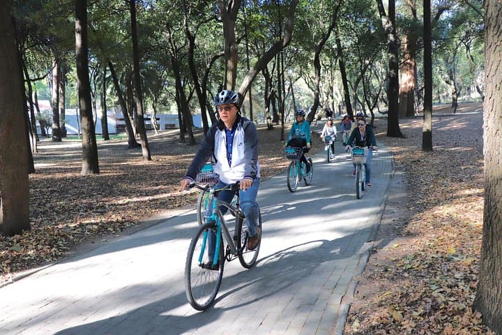 Mexico City Bike Tour: Chapultepec, Reforma & Historic Center by Bicycle photo 5