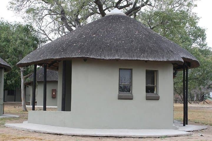 5-Day Manyeleti Safari: Big Five Open-Vehicle Adventure from Johannesburg