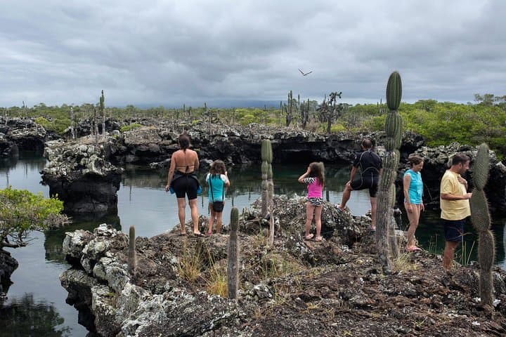 5-Day Galapagos & Los Tuneles Tour — Isabela and Santa Cruz Adventure
