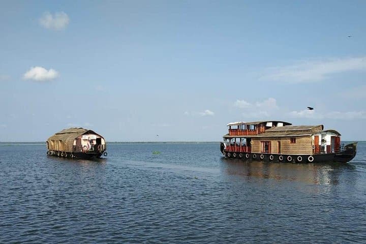 Alleppey Houseboat Day Cruise on Celebrity Constellation — Kerala Backwaters Daytrip photo 1