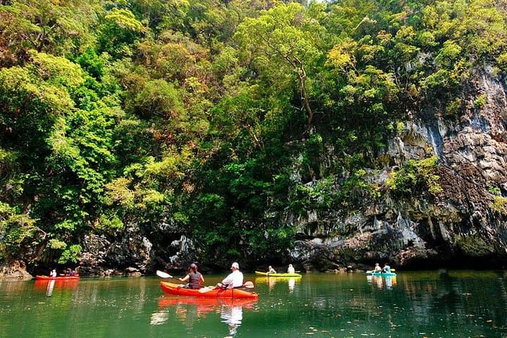 Krabi Jungle Tour & Ao Thalane Kayaking: Emerald Pool, Hot Springs and Mangrove Canyons photo 6