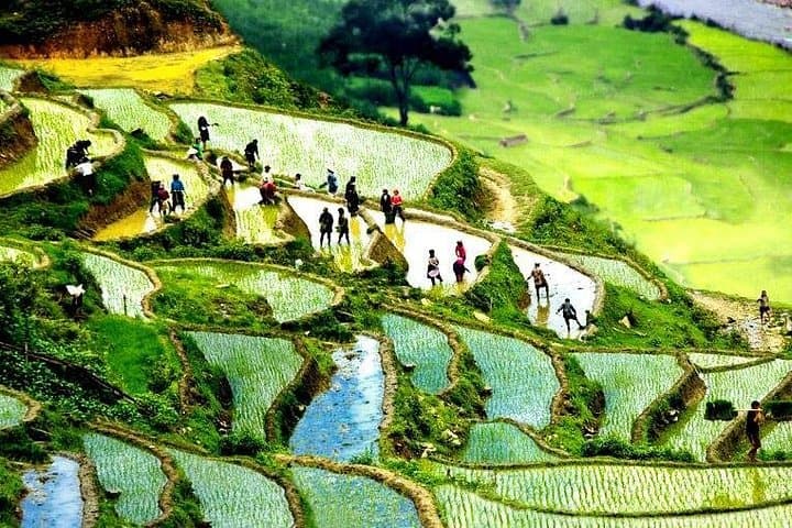 Sapa 2-Day Trek & Homestay: Muong Hoa Valley to Giang Ta Chai photo 1
