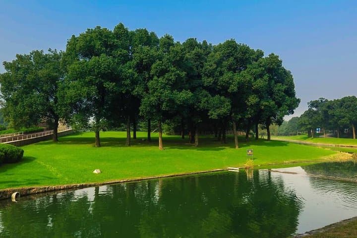 Private Round-Trip Transfer to Shanghai Oriental Land: Dianshan Lake Day Trip photo 4