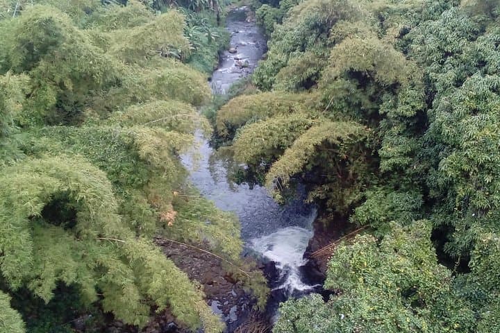 Deep Wild South Full-Day Tour: Chamarel, Black River Gorges & Seven Colored Earth photo 2