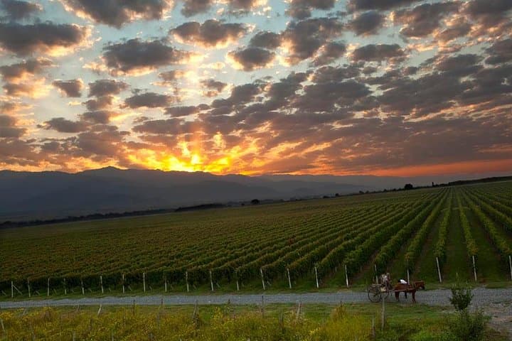 Kakheti in a Day: A Practical Wine Tour from Tbilisi