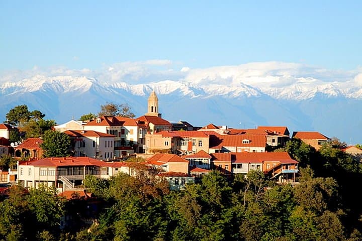 Kakheti in a Day: A Practical Wine Tour from Tbilisi photo 2