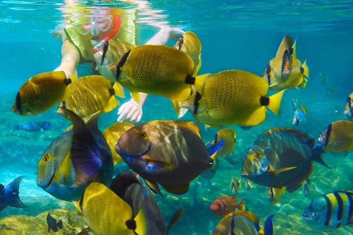 Krabi Three-Island Snorkeling from Ao Nang: Phranang & Coral Reefs photo 1