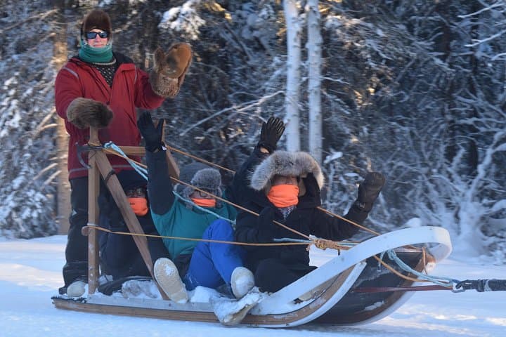 North Pole Alaska Dog Sledding: 30-Minute Mushing with Alaskan Huskies photo 3