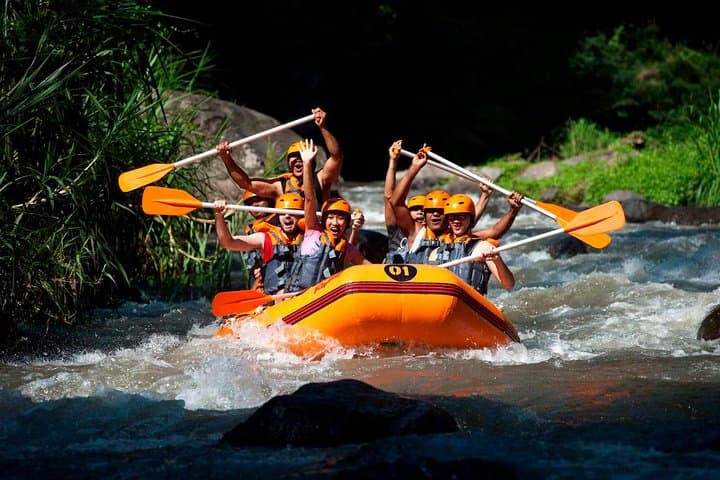 Ayung River Rafting: Ubud's Class II–III Whitewater Adventure with Transport