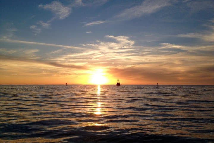 St. Pete Beach Sunset Cruise: Semi-Private 2-Hour Dolphin & Canal Tour photo 5