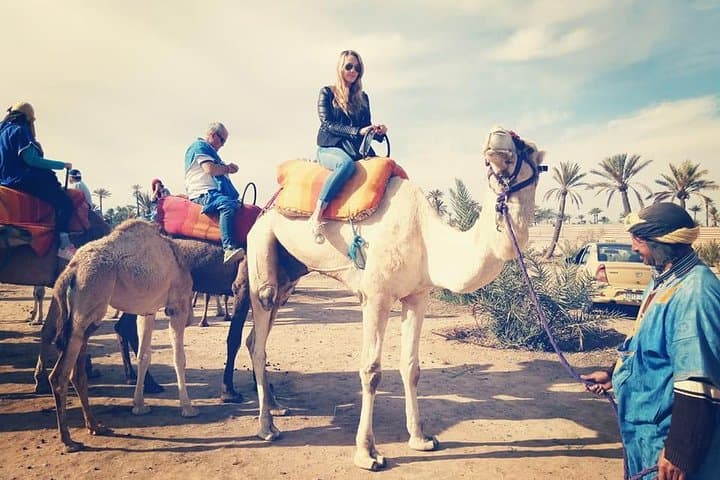 Camel Ride Through the Palmeraie: A 2-Hour Marrakech Experience