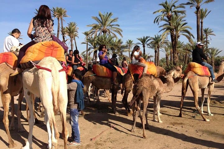 Camel Ride Through the Palmeraie: A 2-Hour Marrakech Experience photo 2