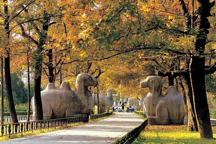 Nanjing Day Tour: Ming Xiaoling Tomb, Linggu Temple & Tangshan Hot Spring photo 2