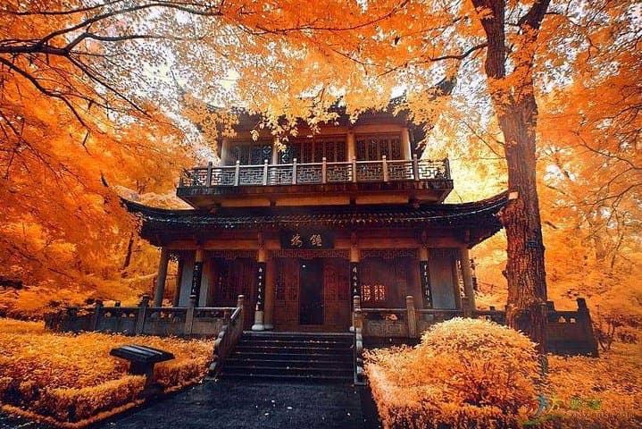 Half-Day Private Tour: Qixia Temple & Swallow Rock — Nanjing Cultural Drive