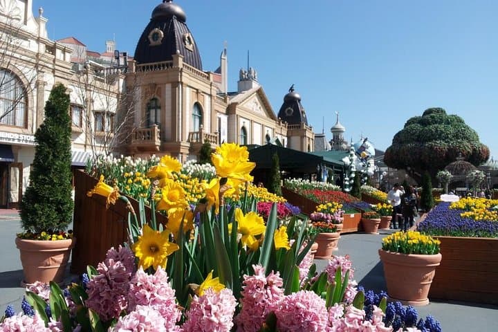 Everland Park Private Hotel-to-Hotel Tour: Free Pass, Safari & Zootopia Highlights photo 1
