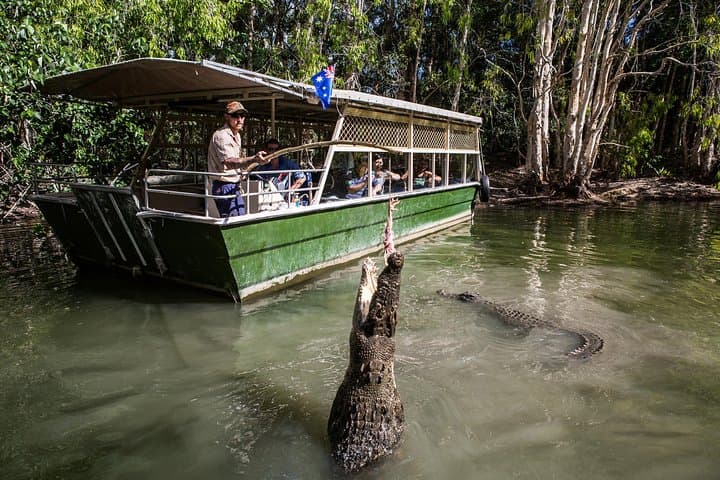 Hartley's Crocodile Adventures Day Trip from Palm Cove — Crocs, Cassowaries & Rainforest Boardwalks