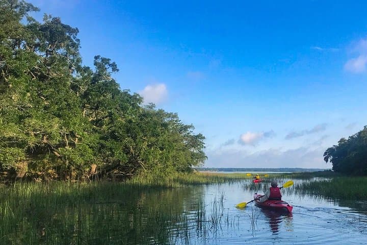 Hilton Head 2-Hour Guided Kayak Nature Tour — Broad Creek Salt Marsh Paddle photo 6