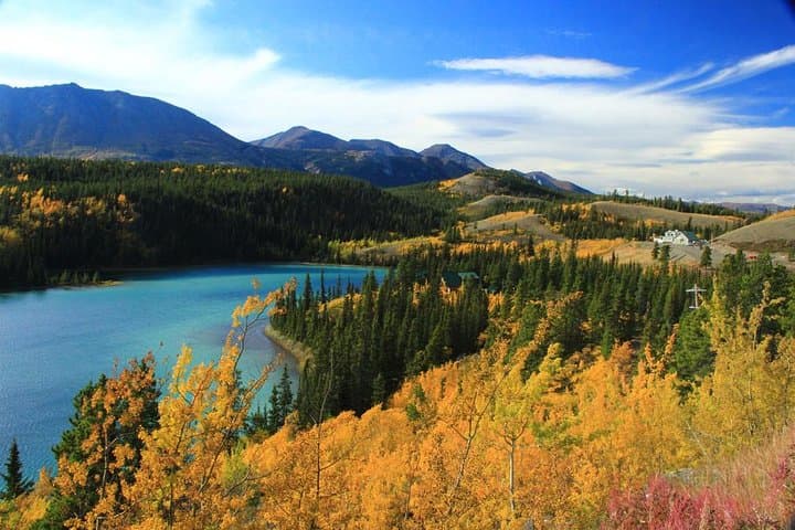 Yukon Discovery Tour from Skagway: White Pass, Carcross Desert & Dog Mushing Camp