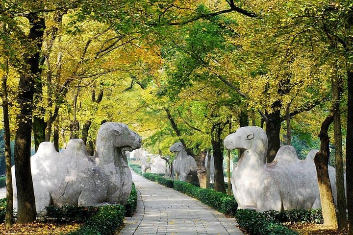 Nanjing by Bullet Train: Private Flexible Day Trip from Shanghai photo 4