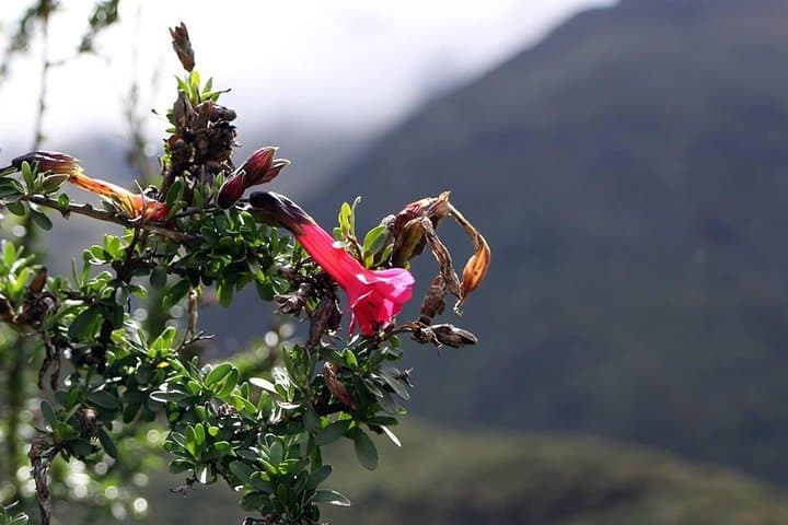 Perolniyoc Waterfall Trek from Cusco — One-Day Sacred Valley Hike photo 5