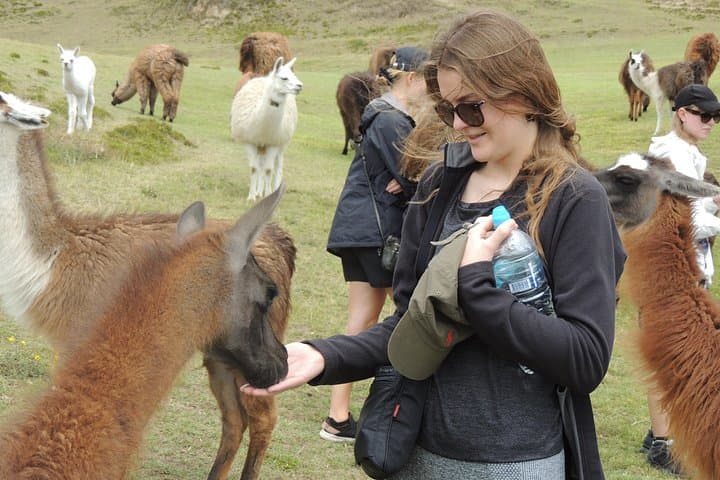 2-Day Otavalo Highlights: Indigenous Market, Cuicocha Lake & Hacienda Guachalá photo 3