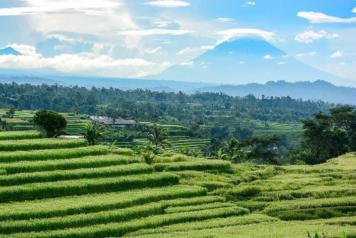 Private Bali Car & Driver — Custom Half‑ and Full‑Day Tours from Kuta