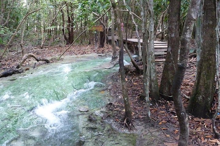 Explore Thailand’s Last Lowland Rainforest: Emerald Pool, Hot Springs & Tiger Cave Temple photo 3