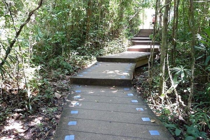 Explore Thailand’s Last Lowland Rainforest: Emerald Pool, Hot Springs & Tiger Cave Temple photo 5