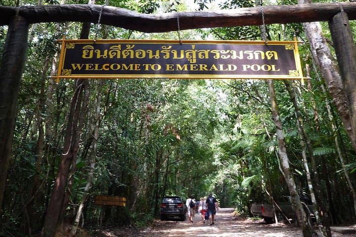Explore Thailand’s Last Lowland Rainforest: Emerald Pool, Hot Springs & Tiger Cave Temple photo 2