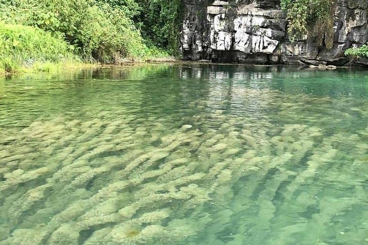 Ninh Binh Day Trip: Bai Dinh & Trang An Boat Tour from Hanoi photo 5